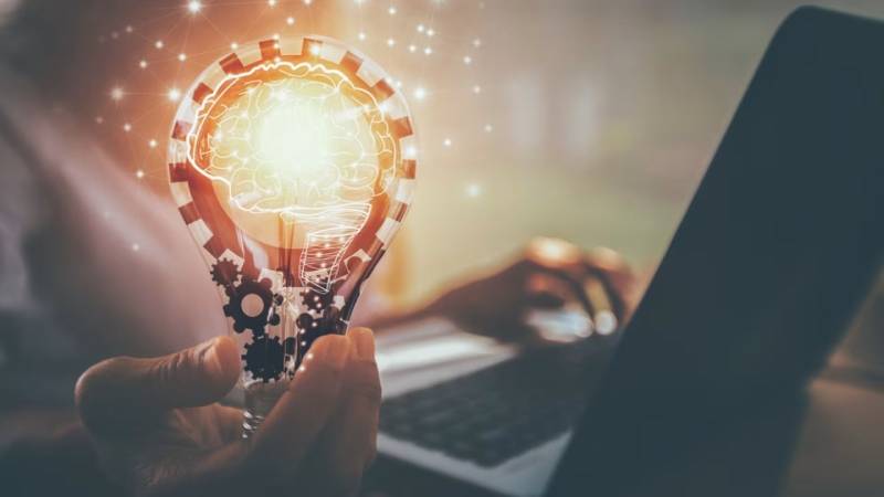 用软件定义商业边界：赤坎区软件开发公司的数字化梦想工程师